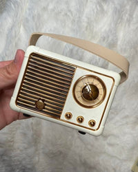 Bluetooth Radio Speaker