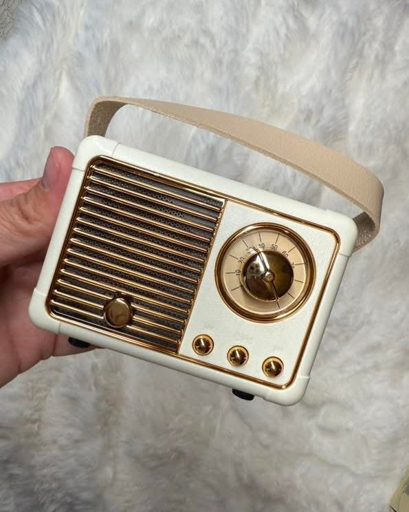 Bluetooth Radio Speaker