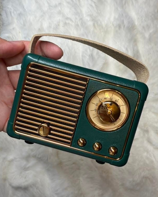 Bluetooth Radio Speaker